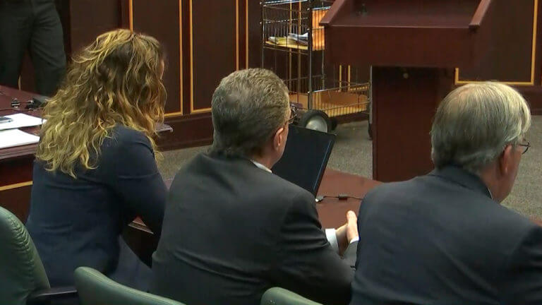 23-FL v. Nelson Penalty Phase: Verdict & Sentencing