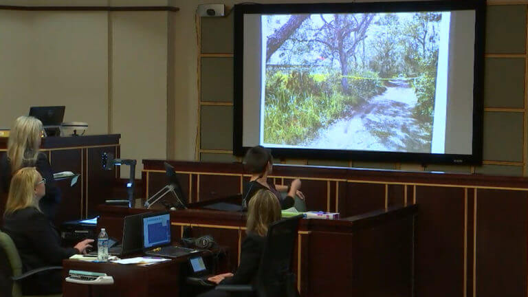 4-FL v. Nelson: Witness Testimony (part 3)