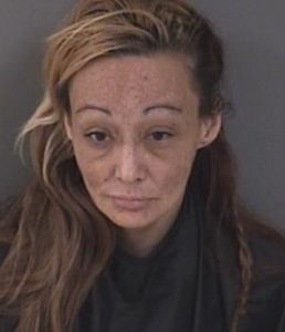 Florida woman accused of stabbing 81-year-old mother to death