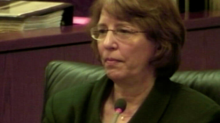 19-WI v. Jensen 2008: Therese DeFazio