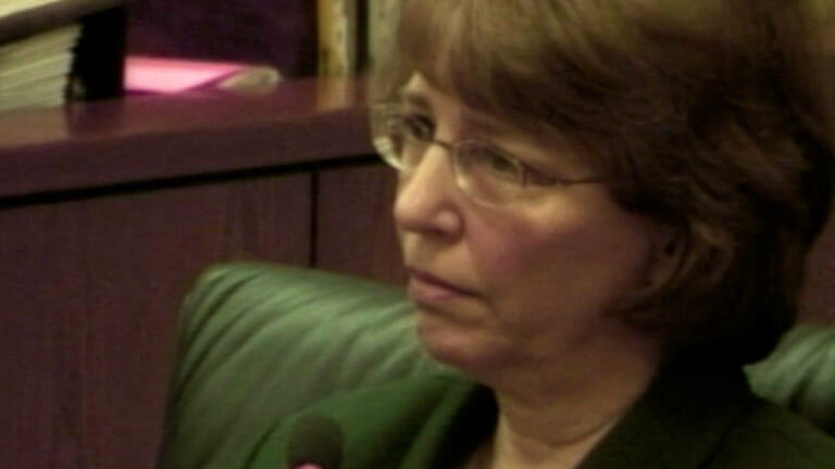 20-WI v. Jensen 2008: Therese DeFazio (part 2)