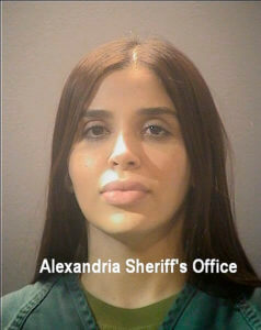 Wife of drug kingpin ‘El Chapo’ pleads guilty to US charges