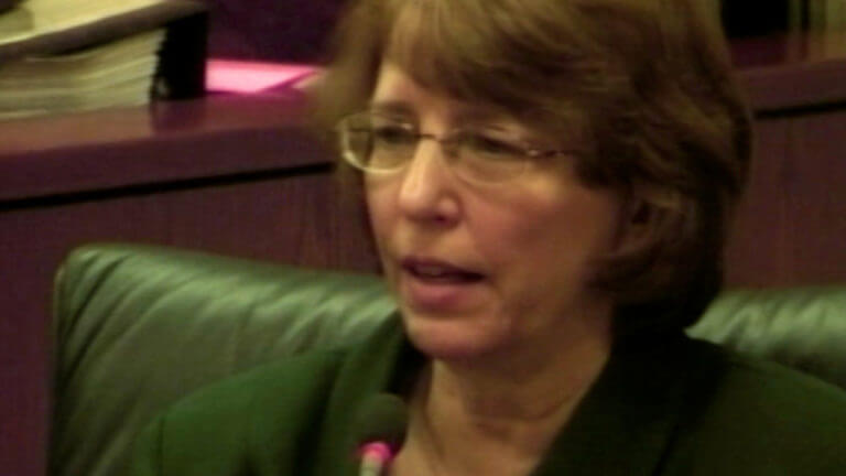 21-WI v. Jensen 2008: Therese DeFazio (part 3)