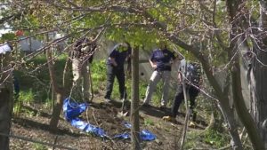 Search for Ohio teen missing since 2007 turns up animal bones