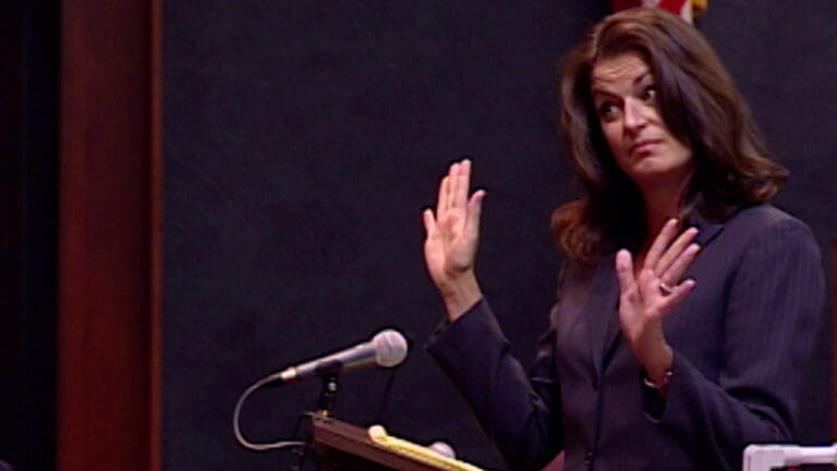 1-MI v. Seaman: Opening Statements