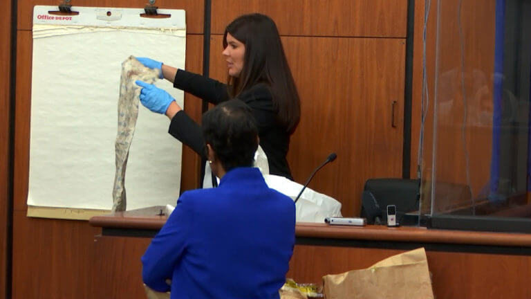 12-SC v. Rowland: Special Agent Dalila Jazic