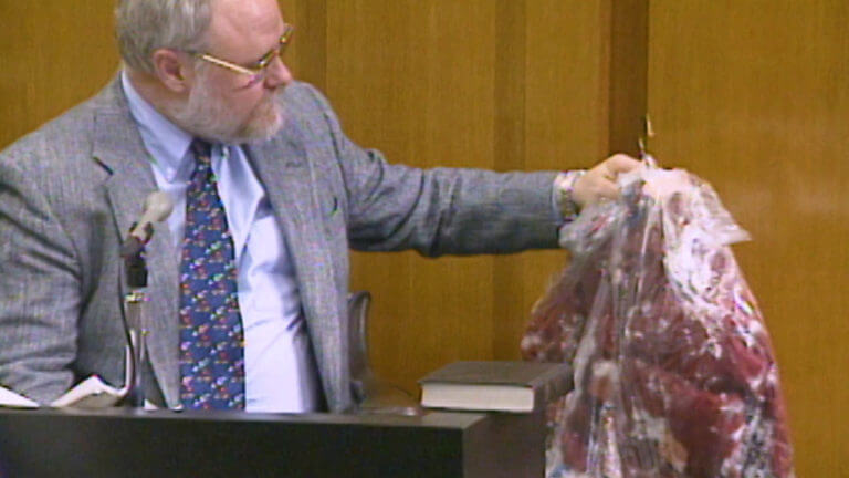 28-NY v. McKiever: Dr. Robert Shalaer
