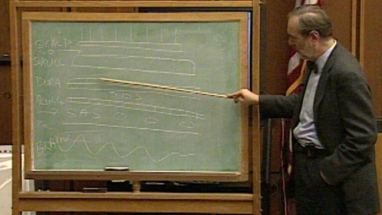 17-MA v. Woodward: Dr. Umberto De Girolami (part 2)