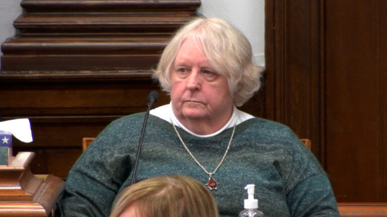 16-WI v. Rittenhouse: Susan Hughes