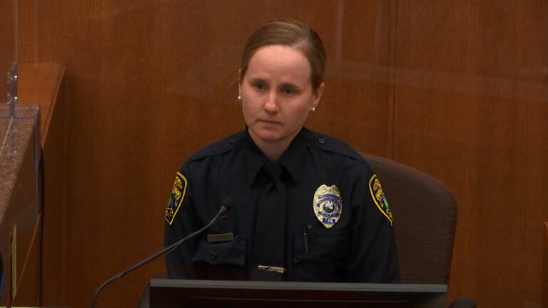 33-MN v. Potter: Ofc. Colleen Fricke, Thomas Hall, Frank Roth & Ofc. Samuel Smith II