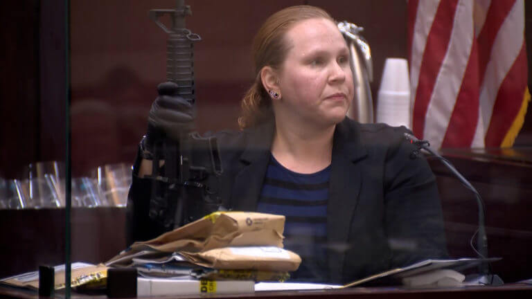 17-TN v. Reinking: Julie Ellis & Bridget Chambers