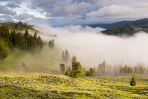 Lawmaker wants federal fix in Yellowstone’s legal blind spot