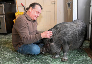 Emotional support or hogwash? Man fights to keep his pet pig