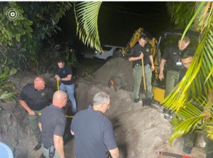 Handyman arrested after woman’s body found in septic tank
