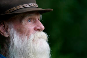 Hermit a no-show at disputed woodlot hearing, faces fines