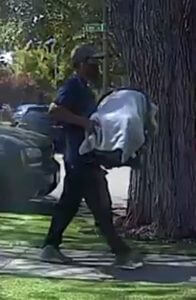 Woman detained in California kidnapping of baby by stranger