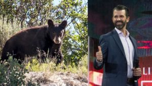 Utah hunting guide charged with illegally baiting bear that Trump Jr. killed