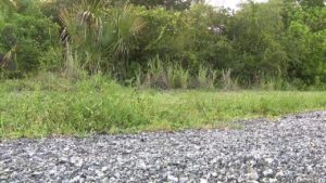 Deputies fatally shoot man accused of kidnapping two women