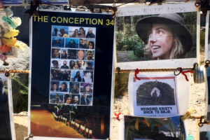 Dive boat captain pleads not guilty in fiery deaths of 34