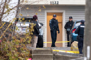 Idaho police investigating stabbing deaths ask for patience