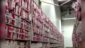 Survivors of rape in Florida will soon be able to track their evidence kit