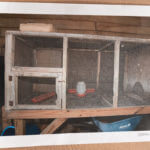 Alex Murdaugh Trial Day 4 Exhibits