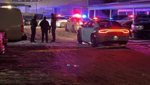 Family argument led to one cousin killing another, court docs allege