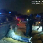 tyre nichols bodycam