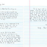 Aiden Fucci's letter to court