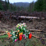 Flowers and candles are placed in a wooded area in Freudenberg