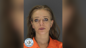 Affidavit: ‘People in her walls’ prompted woman to admit to hiding body