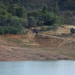 Police work on the banks of the Arade dam
