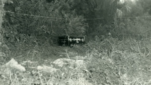 ‘Trunk Lady’ identified 53 years after she was found wrapped in plastic