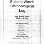 documents in Jeffrey Epstein case