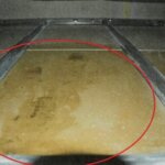 ceiling tile evidence in Harmony Montgomery case