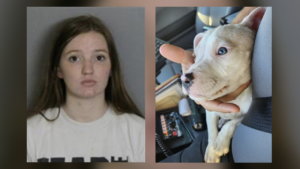 Puppy chews off baby’s fingers, mother charged with neglect
