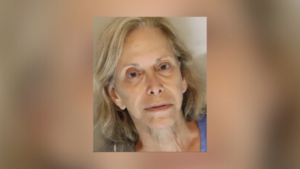 Donna Adelson arraigned in Leon County court
