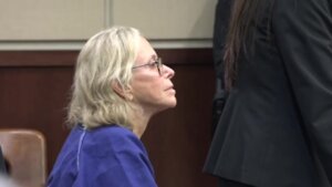 Donna Adelson formal arraignment and emergency motions hearing