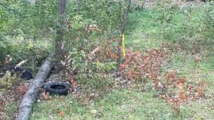 Coroner: Dismembered head linked to woman’s torso found in November