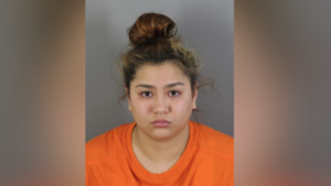 18-year-old babysitter accused of killing family dog headed to trial