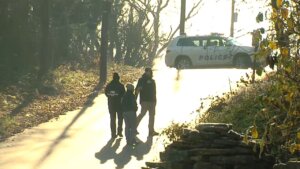 Head among parts found while investigating case of dismembered woman