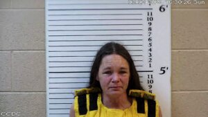 North Carolina woman accused of murdering 4-year-old twins