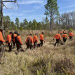 A line of people in orange shirts walk through long grass