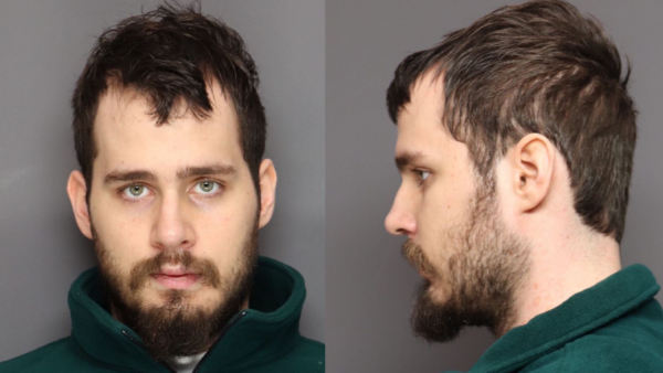 Brother pleads guilty to murdering, dismembering pregnant sister