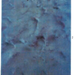 Footprints in the snow around John O'Keefe's body