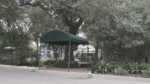 green awning outside building