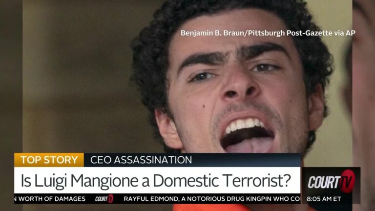 Is Luigi Mangione a Domestic Terrorist?
