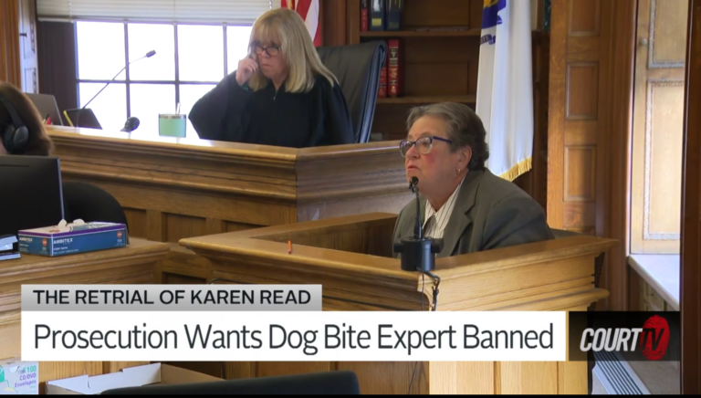 Will Karen Read's Dog Bite Expert be Allowed in her Retrial?