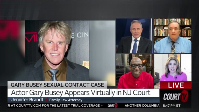 Breaking Down Gary Busey's Court Appearance