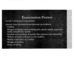 excerpt from power point